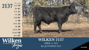 Lot #2137 - WILKEN 2137
