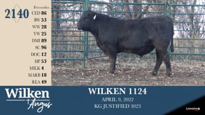 Lot #2140 - WILKEN 2140