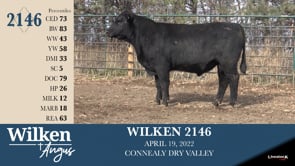 Lot #2146 - WILKEN 2146