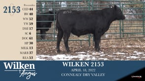 Lot #2153 - WILKEN 2153