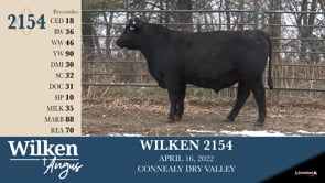 Lot #2154 - WILKEN 2154