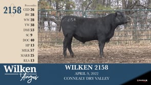 Lot #2158 - WILKEN 2158