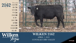 Lot #2162 - WILKEN 2162