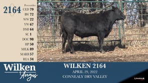 Lot #2164 - WILKEN 2164