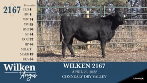 Lot #2167 - WILKEN 2167