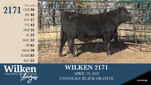 Lot #2171 - WILKEN 2171