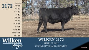 Lot #2172 - WILKEN 2172