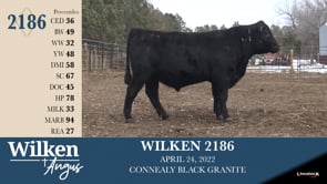 Lot #2186 - WILKEN 2186