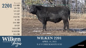 Lot #2201 - WILKEN 2201