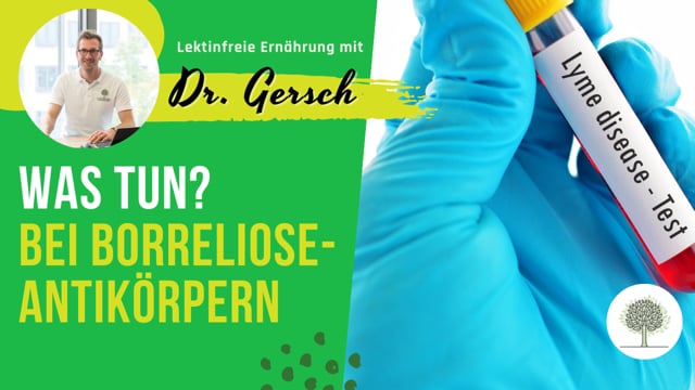 Nachweis von Borreliose-Antikörpern im Blut - Was tun?