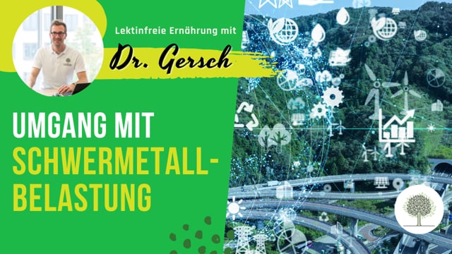 Wie geht man mit der alltäglichen Schwermetallbelastung um? 