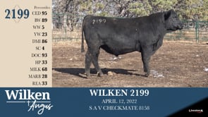 Lot #2199 - WILKEN 2199