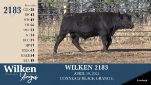 Lot #2183 - WILKEN 2183