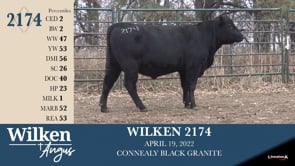 Lot #2174 - WILKEN 2174