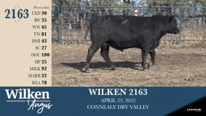 Lot #2163 - WILKEN 2163