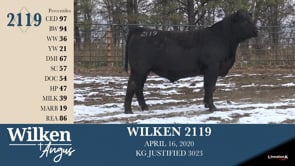 Lot #2119 - WILKEN 2119