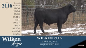 Lot #2116 - WILKEN 2116