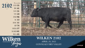 Lot #2102 - WILKEN 2102