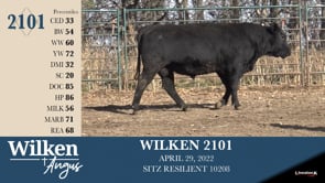 Lot #2101 - WILKEN 2101