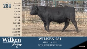 Lot #284 - WILKEN 284