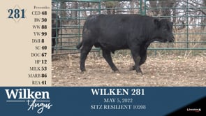 Lot #281 - WILKEN 281