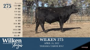 Lot #275 - WILKEN 275