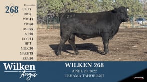 Lot #268 - WILKEN 268