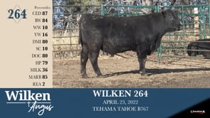 Lot #264 - WILKEN 264