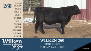 Lot #260 - WILKEN 260