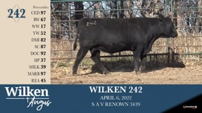 Lot #242 - WILKEN 242