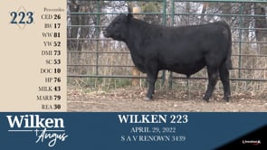 Lot #223 - WILKEN 223