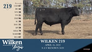 Lot #219 - WILKEN 219
