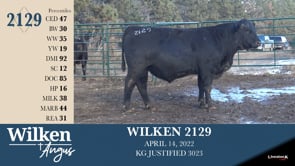 Lot #2129 - WILKEN 2129
