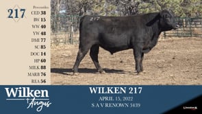 Lot #217 - WILKEN 217