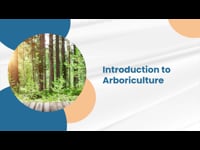 Introduction to Arboriculture