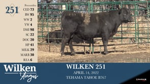 Lot #251 - WILKEN 251