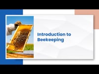 Introduction to Beekeeping