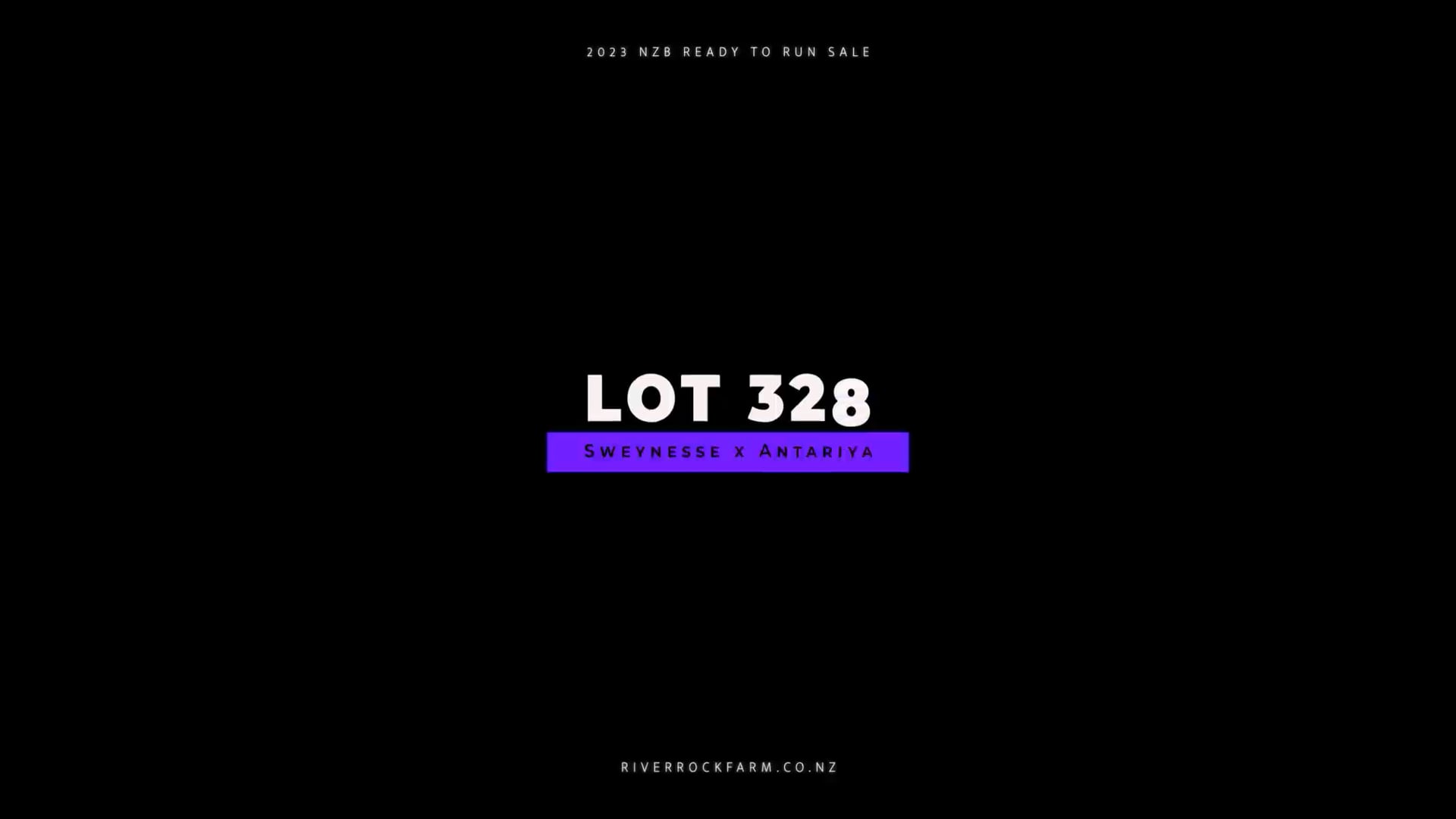 23RTR, Lot 328
