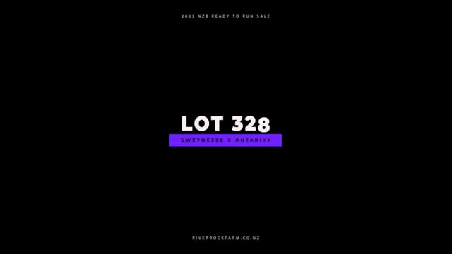 Lot 328