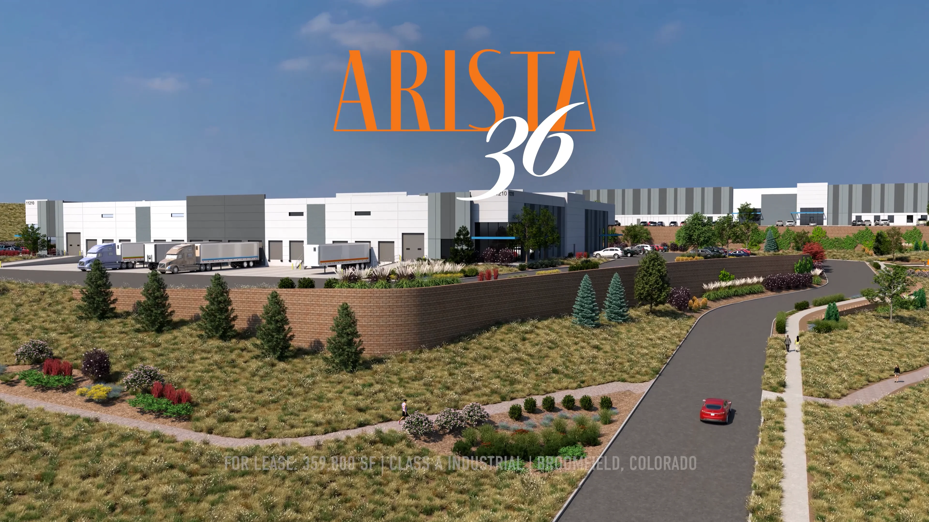 Arista 36