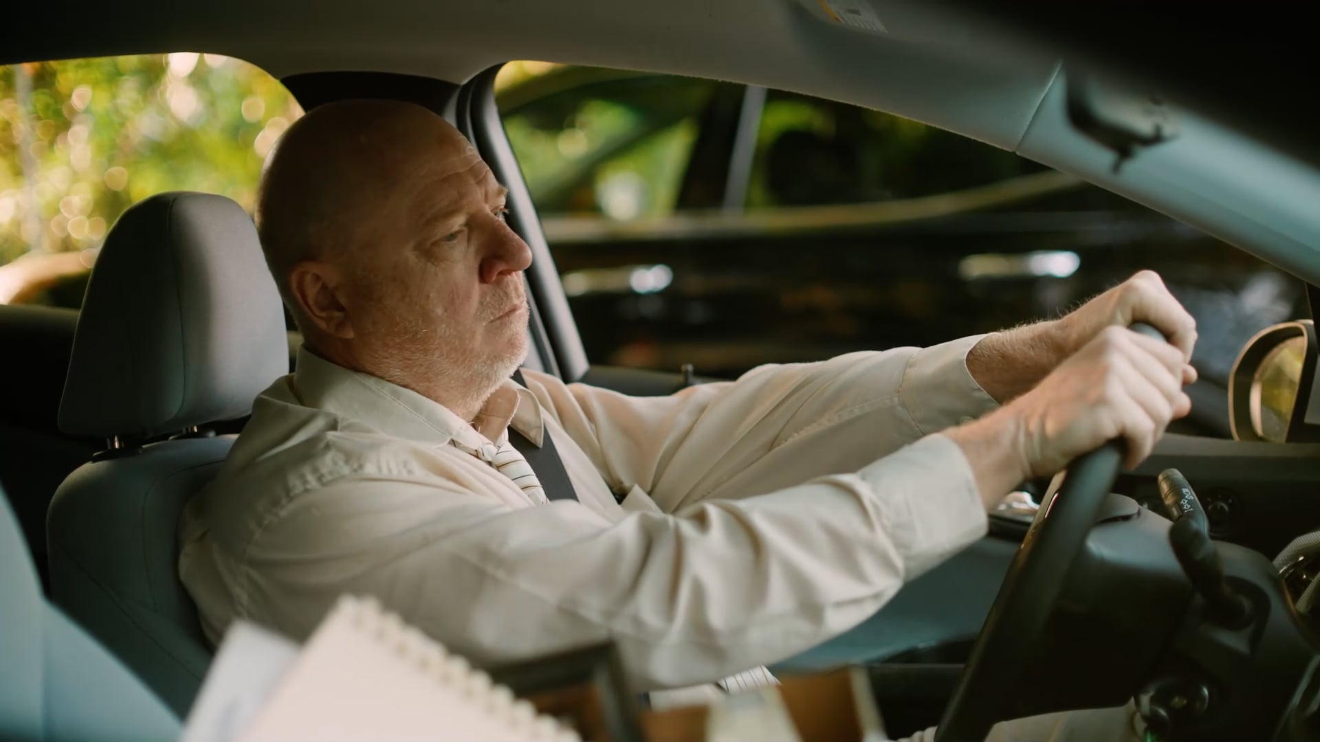 Unemployment / Adult Mental Health V2  || 211 Big Bend