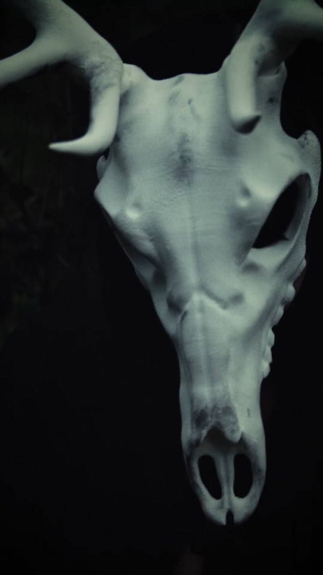 SNEAK HALLOWEEN - Alex Nicholson