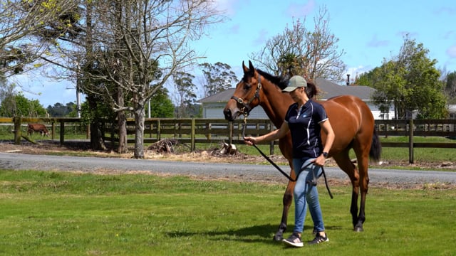 Lot 38