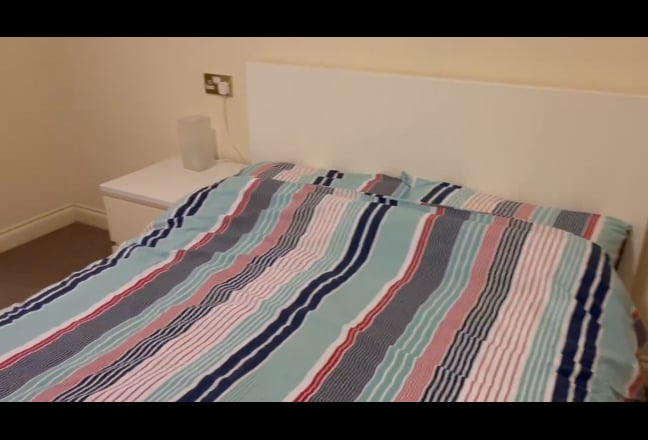 Video 1: