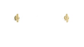 14kt Yellow Gold Bar Earrings