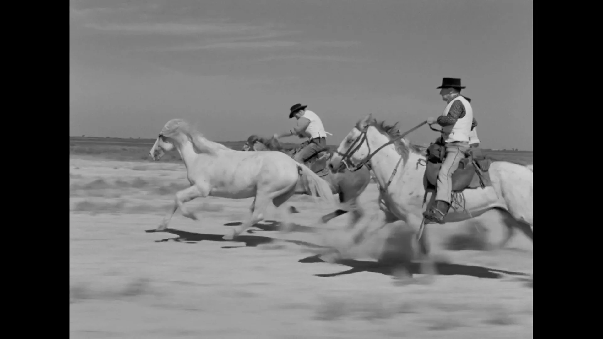 White Mane (1953) | The Criterion Collection