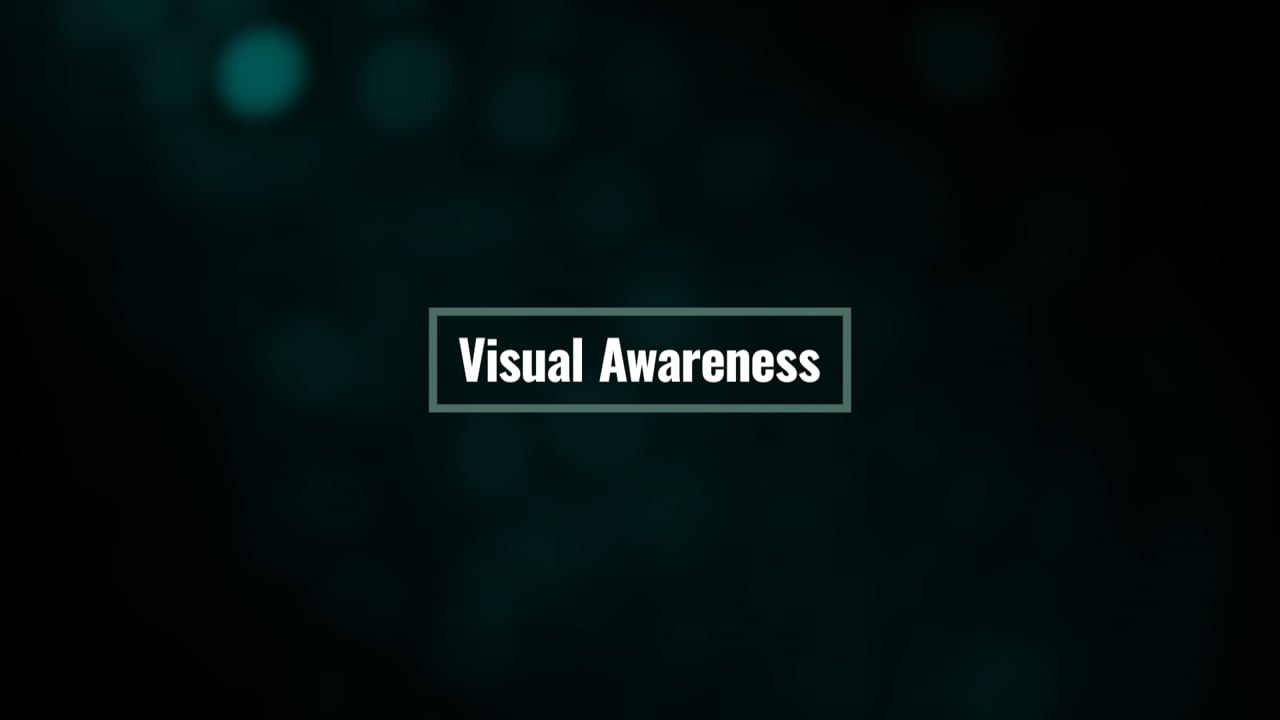 Visual Awareness