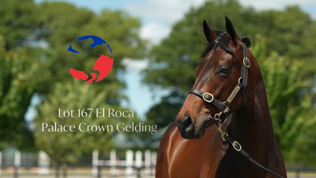 Lot 167