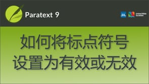 如何将标点符号设置为有效或无效