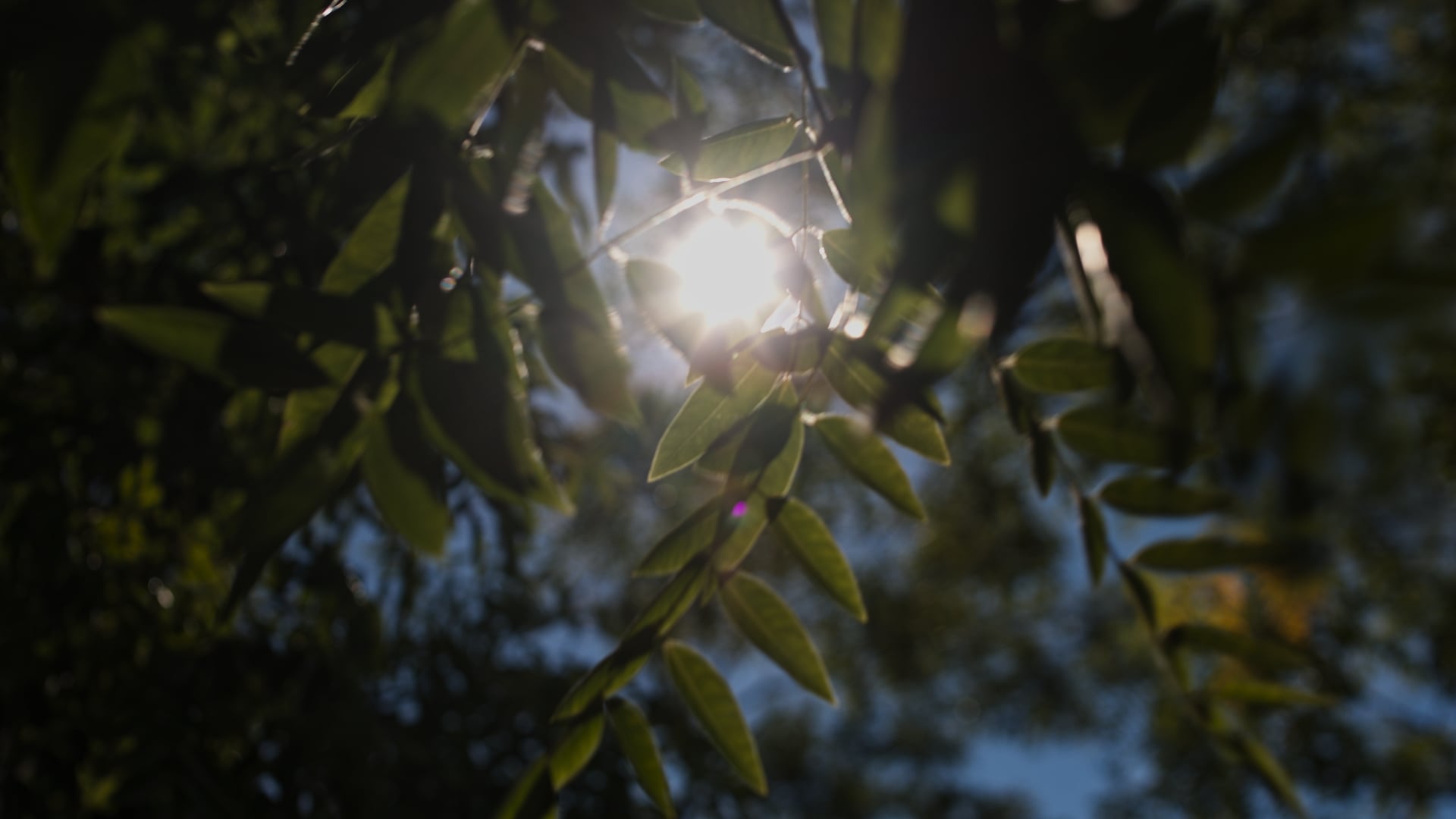 chrittemann media | Show-Reel | 2023